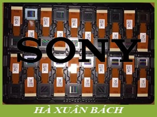 LCD máy chiếu Sony