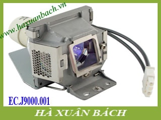 Bóng đèn máy chiếu Acer EC.J9000.001