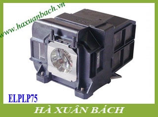 Bóng đèn máy chiếu Epson ELPLP75