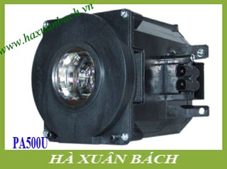 Bóng đèn máy chiếu Nec PA500U