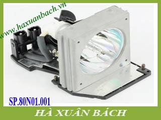 Bóng đèn máy chiếu Optoma SP.80N01.001
