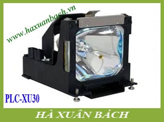 Bóng đèn máy chiếu Sanyo PLC-XU30